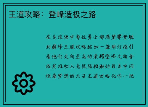 王道攻略：登峰造极之路